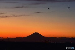 江川海岸からの富士山