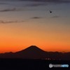 江川海岸からの富士山