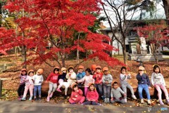幼稚園児と紅葉