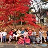 幼稚園児と紅葉