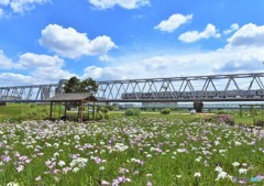 梅雨の晴れ間①