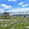 梅雨の晴れ間①
