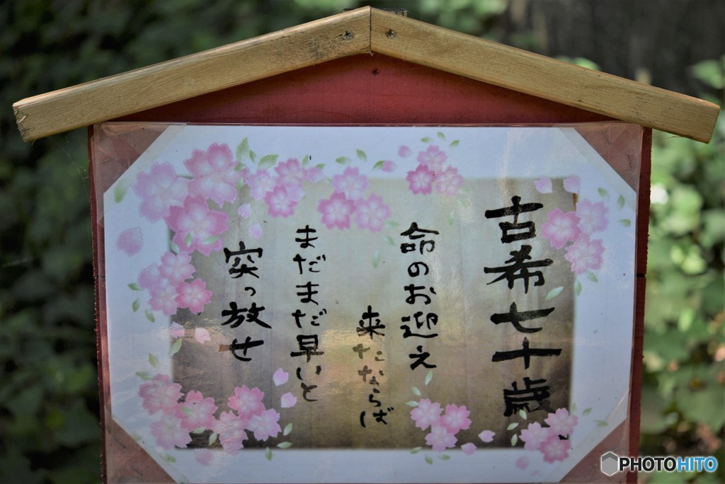 今年は私も・・・・・
