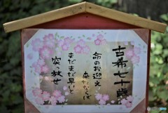 今年は私も・・・・・