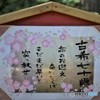 今年は私も・・・・・