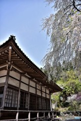 古刹「青雲寺」②