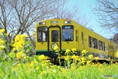 いすみ鉄道