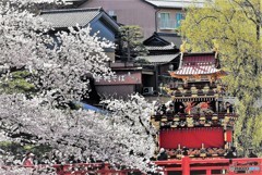 春の高山祭