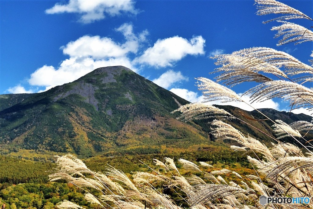 風に吹かれて～蓼科山