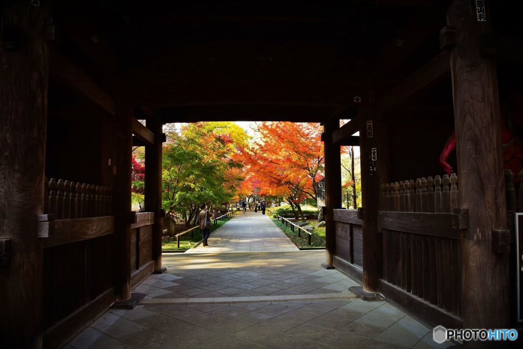 浄真寺山門