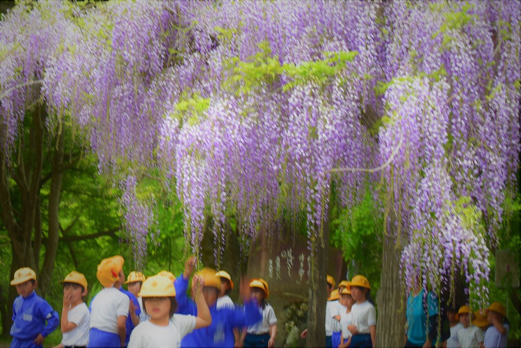 長瀞　小さな訪問者