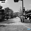 津和野散策
