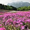 羊山公園