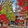 九品仏浄真寺