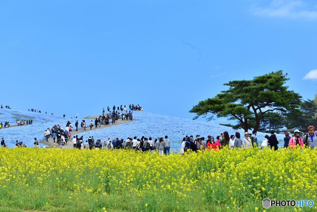 幸せの青回廊②