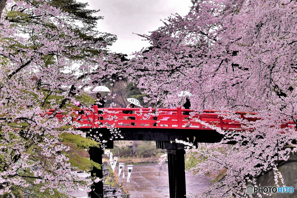 雨の弘前城