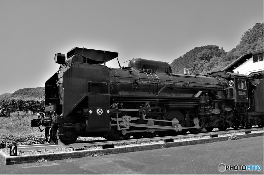 　　津和野Ｄ５１②