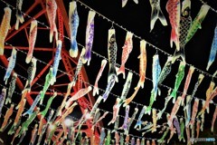 東京タワーの鯉のぼり③