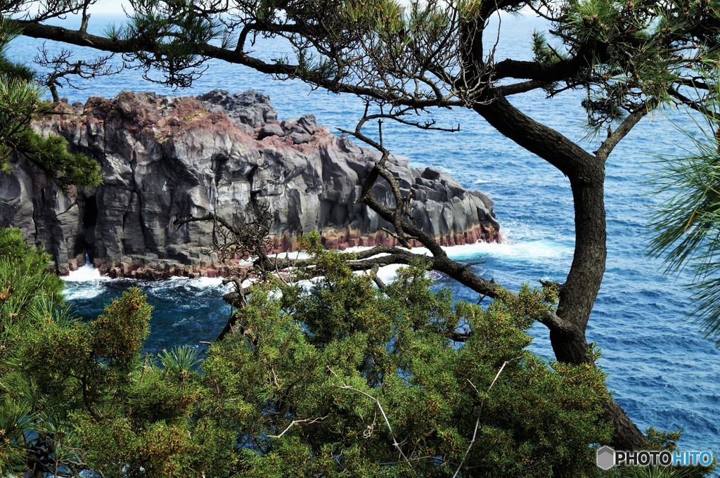 城ヶ崎海岸