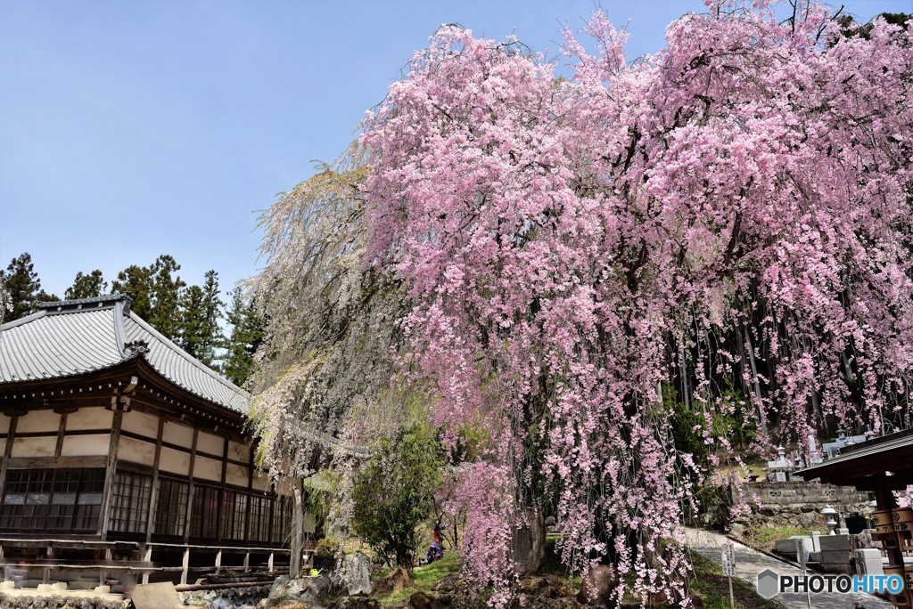 古刹「青雲寺」
