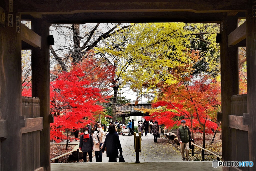 九品仏「浄真寺」③