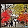 九品仏「浄真寺」③