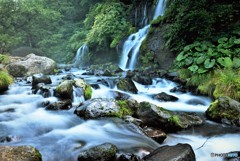 夏の吐竜の滝～吐竜の滝~