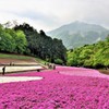 羊山公園①