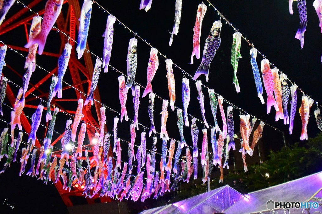 東京タワーの鯉のぼり②