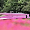 羊山公園②