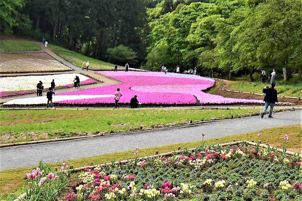 羊山公園③