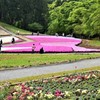 羊山公園③