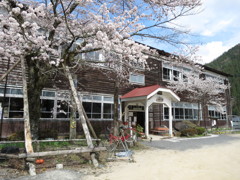 桜と小学校