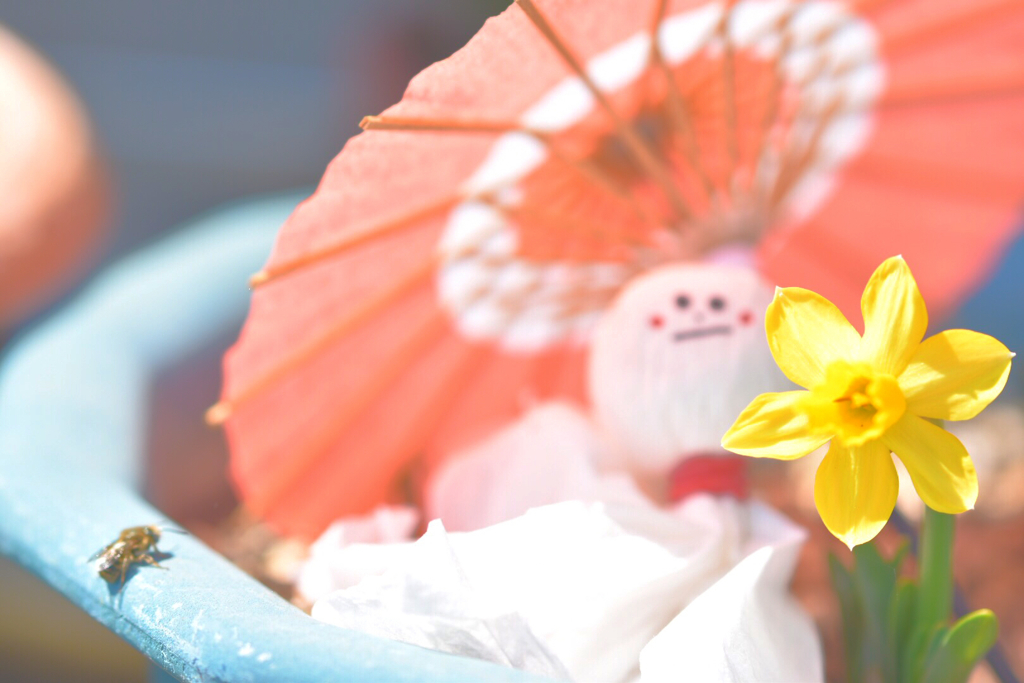 ボーズの休日