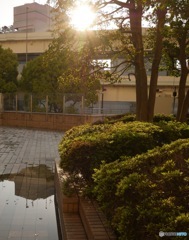雨上がり