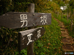どっち