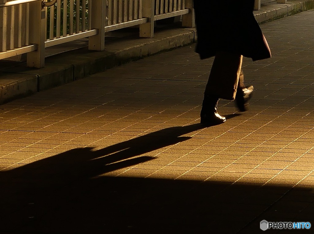 家路