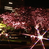 夜に咲く春