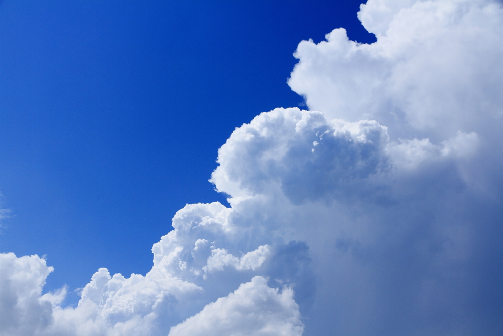 夏の空