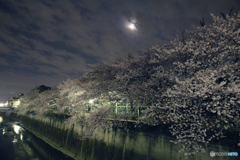 上一中ウラの石神井川3