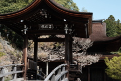 虎渓山永保寺 