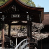 虎渓山永保寺 