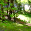 虎渓山永保寺 