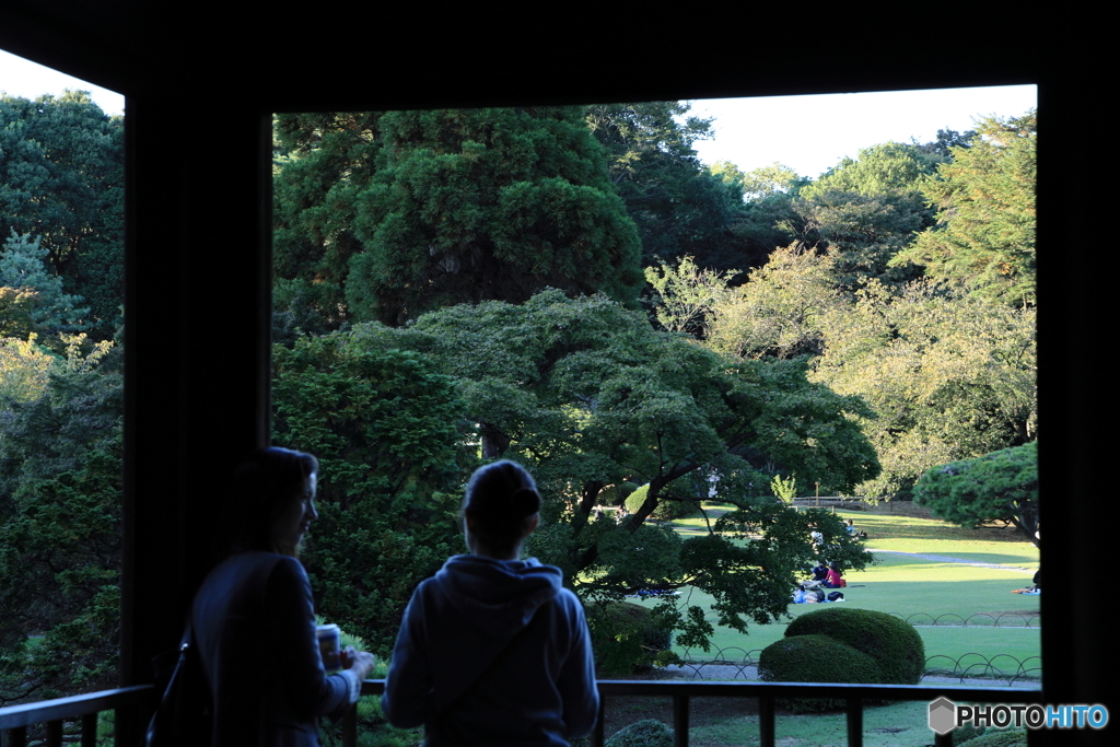つい長居