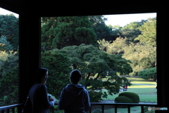 つい長居