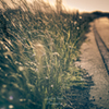 asphalt.2