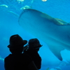 美ら海水族館
