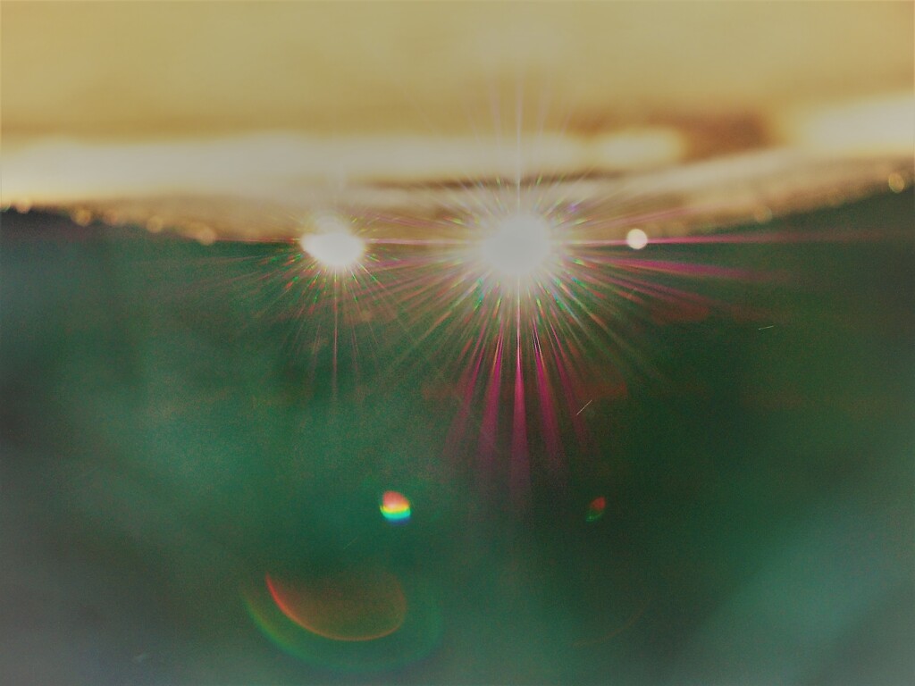 寒しずく