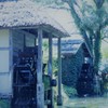 涼をお届け