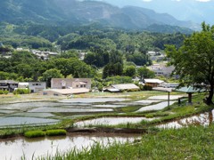 棚田のある風景